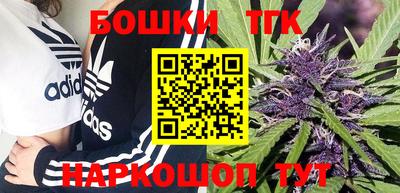 МДПВ Рыбинск