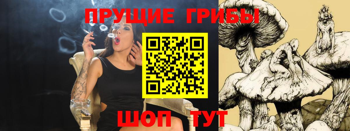 Псилоцибиновые грибы Magic Shrooms Пятигорск
